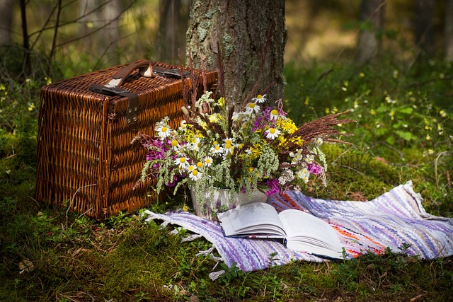 Forkæl dig selv med et stilfuldt picnictæppe fra Södahl