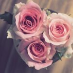 Glem blomster: Her er 5 alternative gaver til værtinden